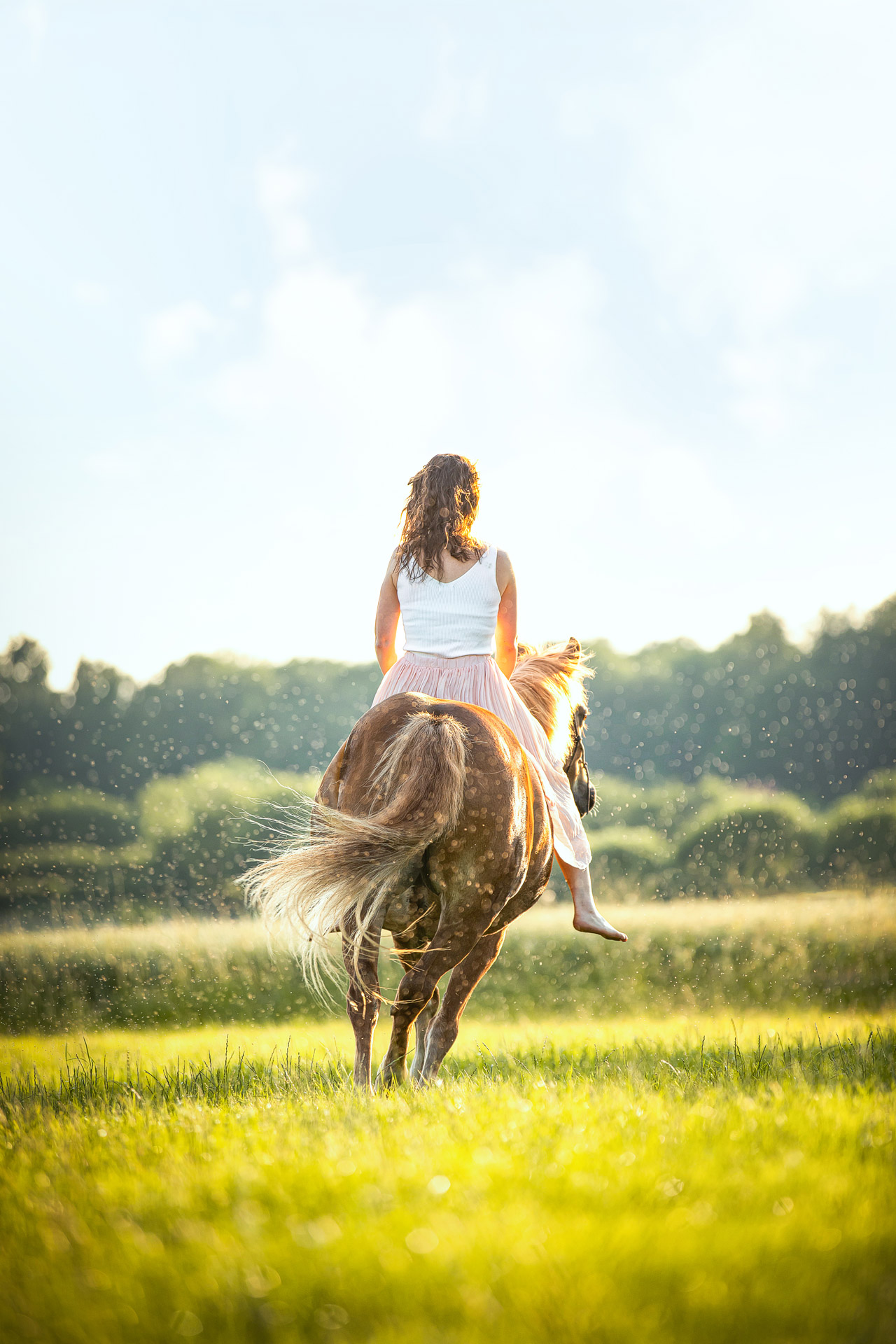 Pferd und Reiterin reiten im Sonnenuntergang