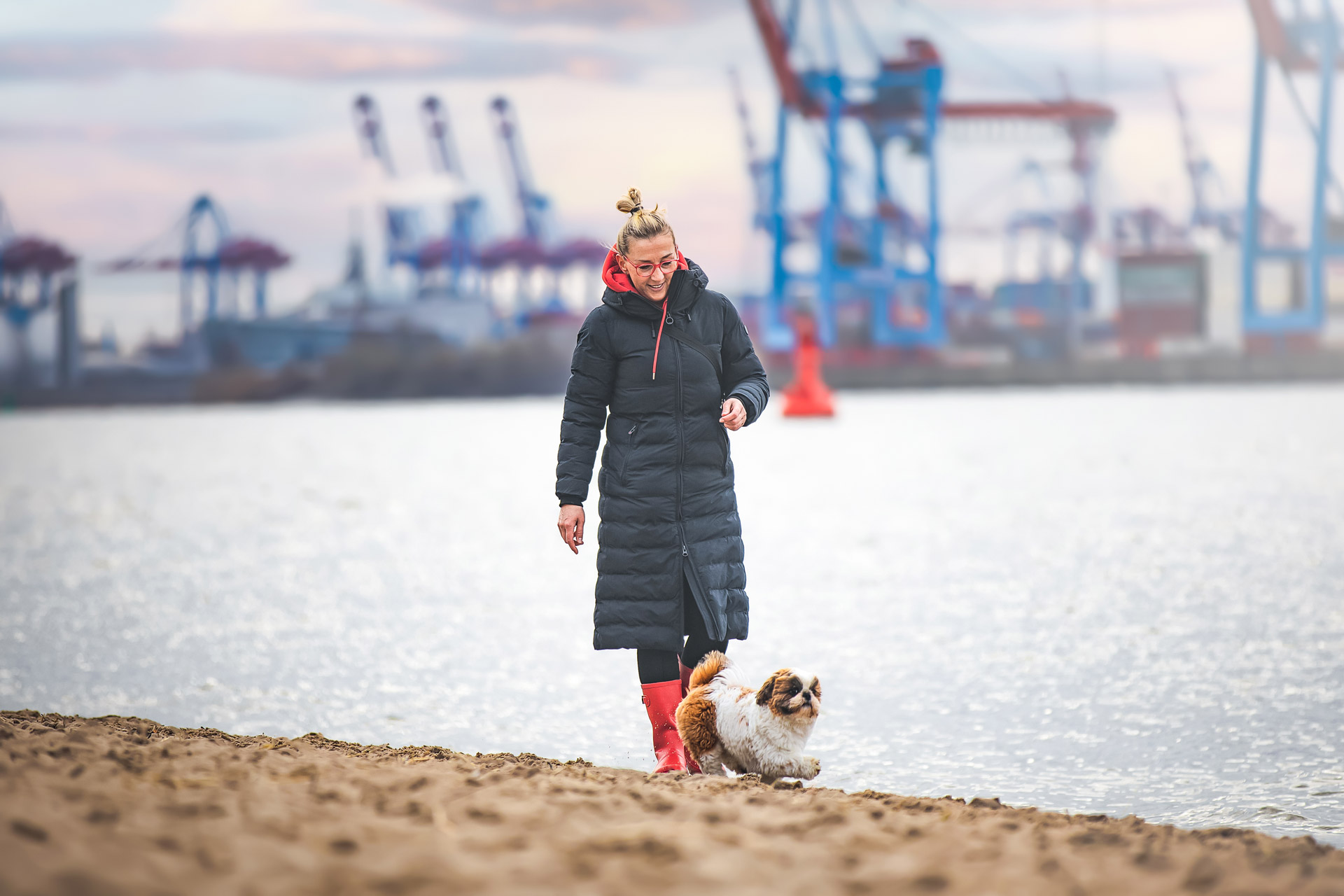 Hunde-Fotoshooting mit Shih Tzu Rüde Gustav im Sand an Hamburgs Elbstrand